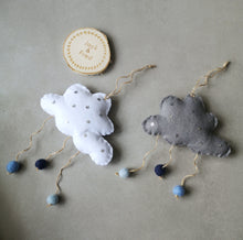 Load image into Gallery viewer, Baby Box Suprise